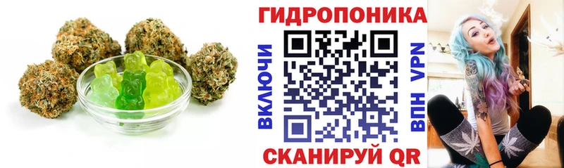 Canna-Cookies марихуана  ОМГ ОМГ сайт  Дудинка  сколько стоит 
