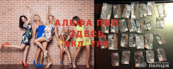 apvp Гусиноозёрск
